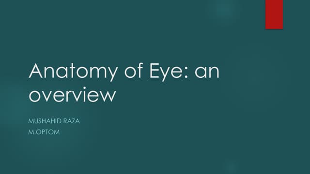 Anatomy of the eyeball   An overviews.pptx