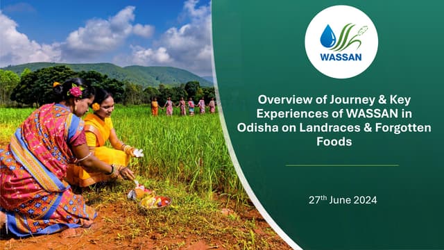 The new Odisha Government scheme on neglected crops and forgotten food